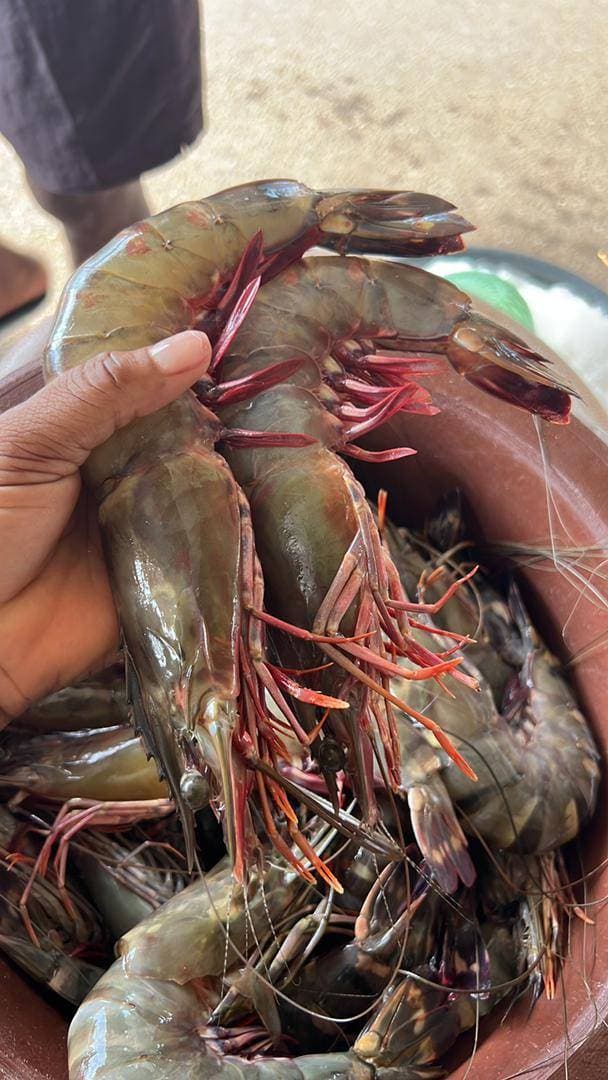 Fruits de Mer