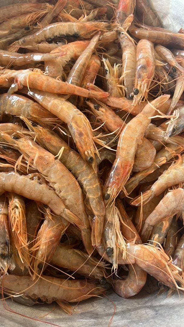 Crevettes